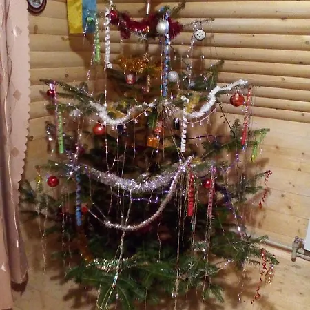У Володимира Apartmán Vorochta