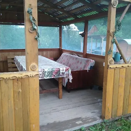 У Володимира